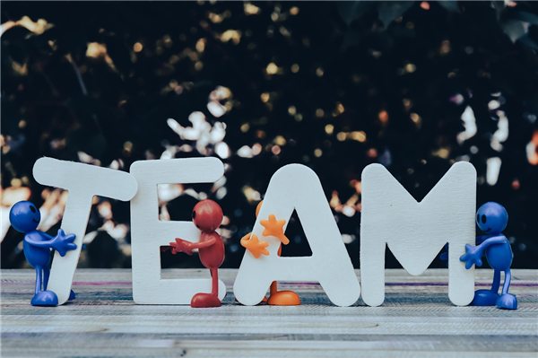 专业支持不可少